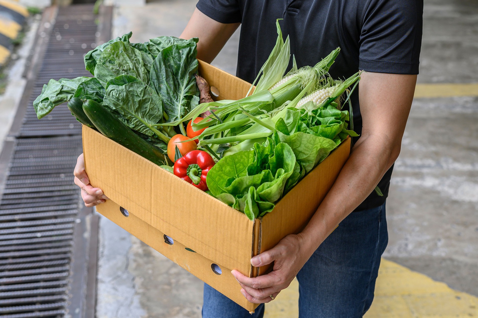 Fresh Vegetable Home Delivery service during COVID 19